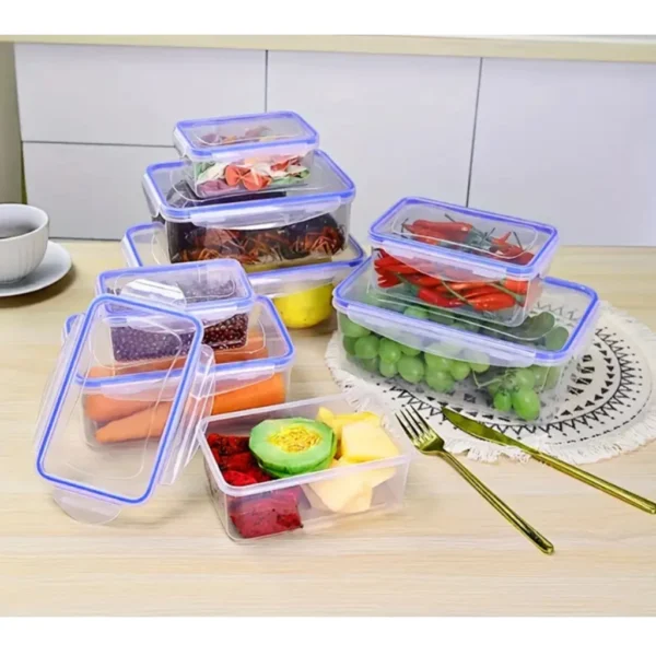 BlueBox Basic 4 Pcs Square Food Storage Containers with Flip Top Lids  Food Contain