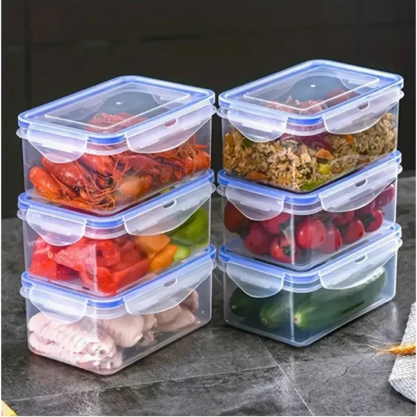 BlueBox Basic 4 Pcs Square Food Storage Containers with Flip Top Lids  Food Contain